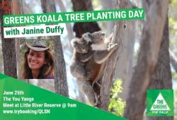 Special Greens Koala Tree Planting Day