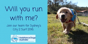 20 Sydney City2Surf Gold Runners Spots Available Supporting Assistance Dogs Australia Team