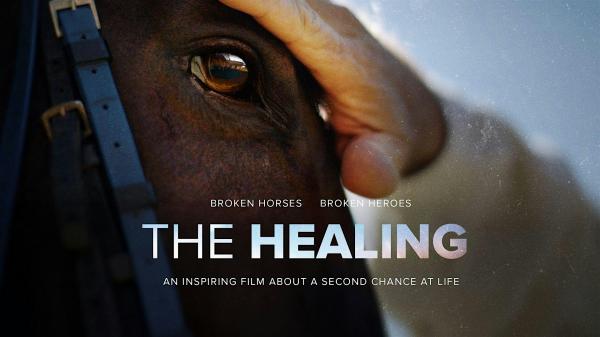 The Healing:  Broken Horses ... Broken Heroes