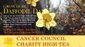 Grow Hope Daffodil Day High Tea - Yarrambat VIC