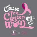 Crossfit Gem Care For Cancer Charity Wod