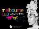 Melbourne Cup for PMH 2014