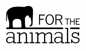 Art for the Animals