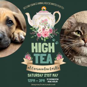 Second Chance Animal Rescue High Tea
