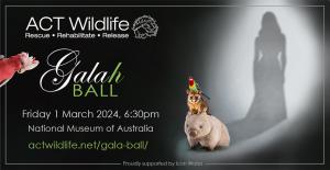ACT Wildlife Galah Ball