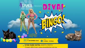 Diva Bingo at the Hyde Park Hotel to support 9 Lives Cat Rescue