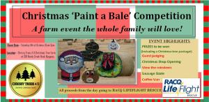 Christmas ‘Paint a Bale’  Competition