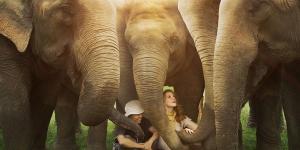 Love & Bananas: An Elephant Story - Sydney Premiere - Thur 20th Sep