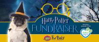 Rspca Harry Potter Quiz Night Fundraiser