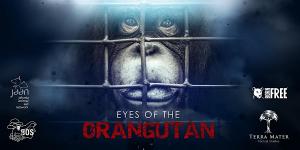 Eyes of the Orangutan