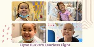 Elyses Fearless Fight Fundraiser