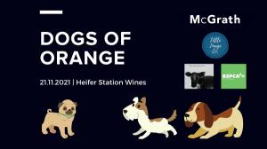 Dogs of Orange