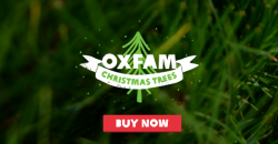 Oxfam Christmas Trees Campaign