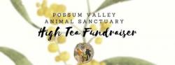 High Tea Fundraiser