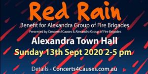 Red Rain Benefit Concert