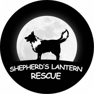 Shepherd’s Lantern Rescue High Tea
