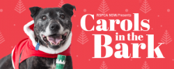RSPCAs Carols in the Bark