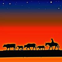 Steer the Herd Charity Dinner