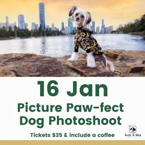 Picture Paw:Fect Photo Shoot