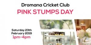 Dromana CC - PINK STUMPS DAY
