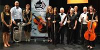 Australian Veterinary Orchestra Charity Concert