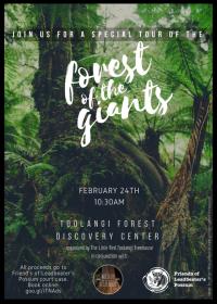 Tour of the Forest of the Giants