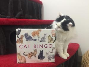 Bingo in the Cat Lounge
