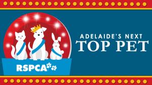 Adelaides Next Top Pet