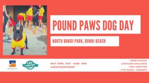 Pound Paws Dog Day at Bondi Beach