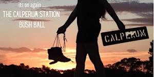 Calperum Station Fundraising Bush Ball