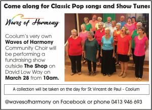 Waves of Harmony Community Choir Sing Out