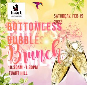 Bottomless Bubbles Brunch Event!