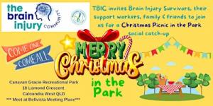 TBIC Christmas Picnic in the Park : Caloundra West