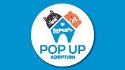 RSPCA Pop Up Adoption 2020