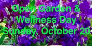 Open Garden and Wellness Day Fundraiser - Echuca Cancer Centre