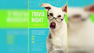 June 3 Rspca Trivia Night Bomaderry NSW